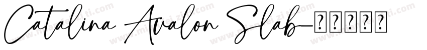 Catalina Avalon Slab字体转换